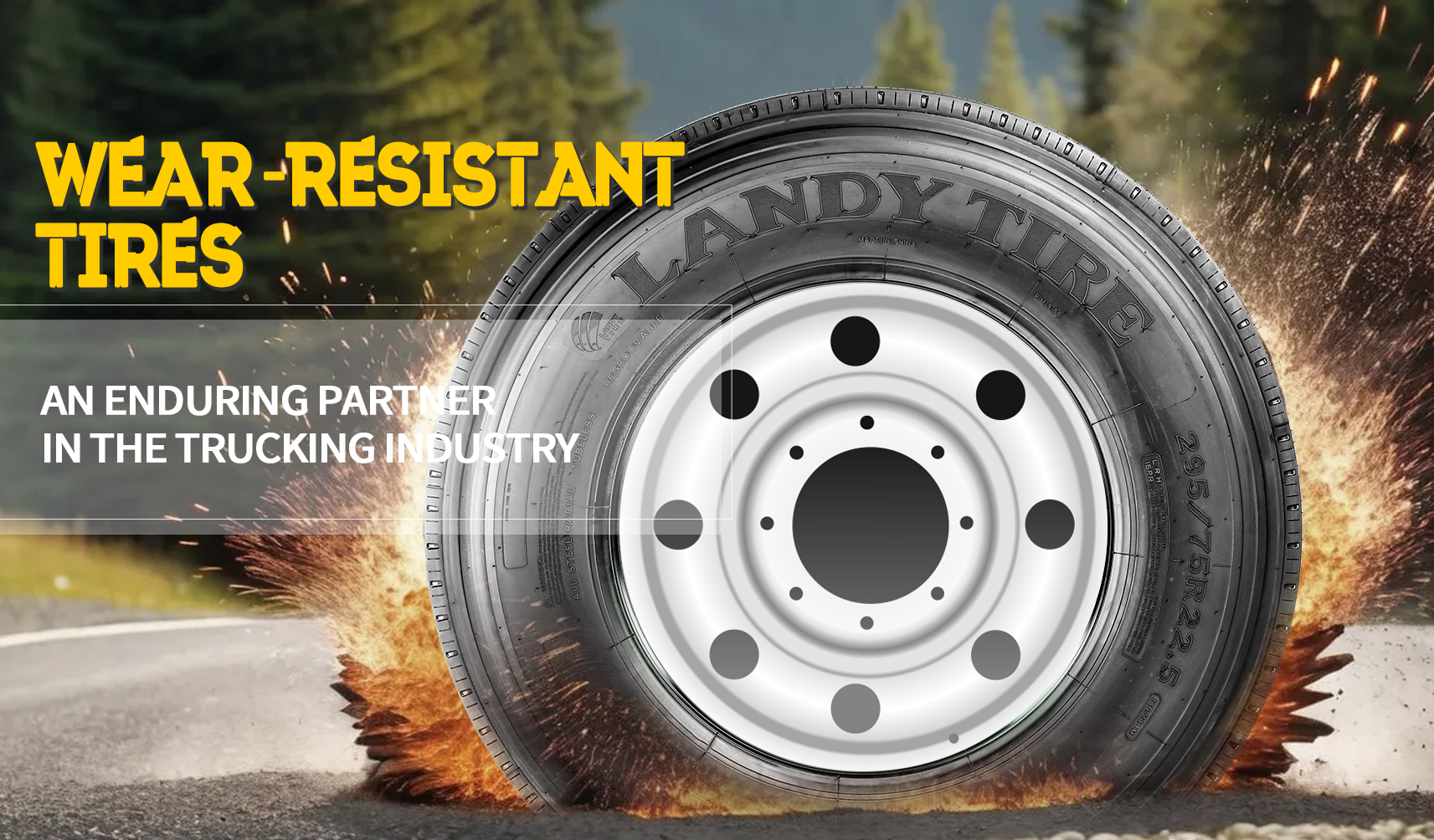 Landy truck tire.jpg